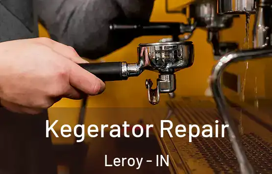  Kegerator Repair Leroy - IN