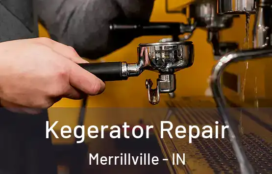  Kegerator Repair Merrillville - IN