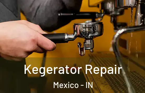  Kegerator Repair Mexico - IN