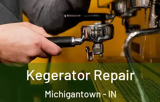  Kegerator Repair Michigantown - IN