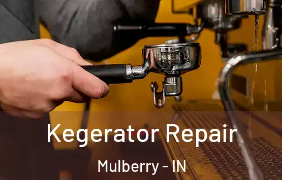 Kegerator Repair Mulberry - IN