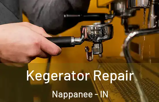  Kegerator Repair Nappanee - IN