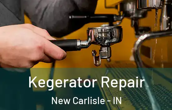  Kegerator Repair New Carlisle - IN