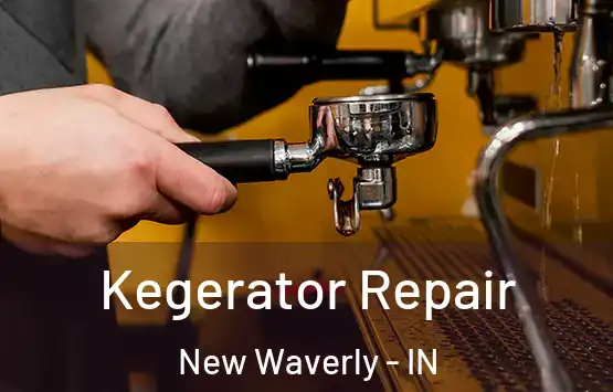  Kegerator Repair New Waverly - IN