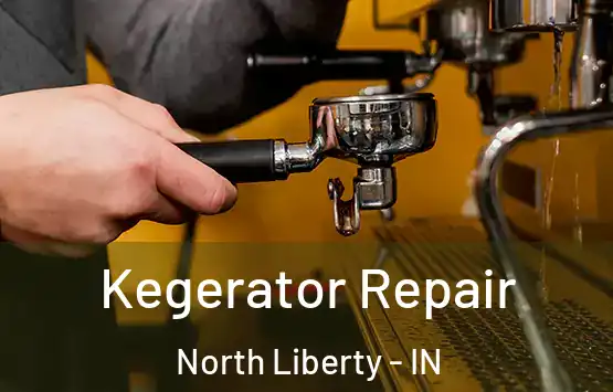  Kegerator Repair North Liberty - IN