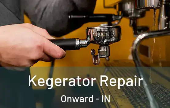  Kegerator Repair Onward - IN