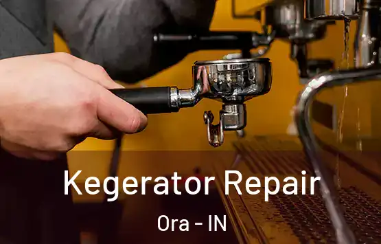  Kegerator Repair Ora - IN