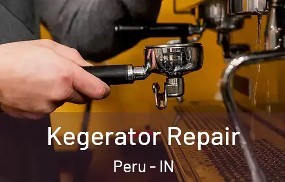  Kegerator Repair Peru - IN