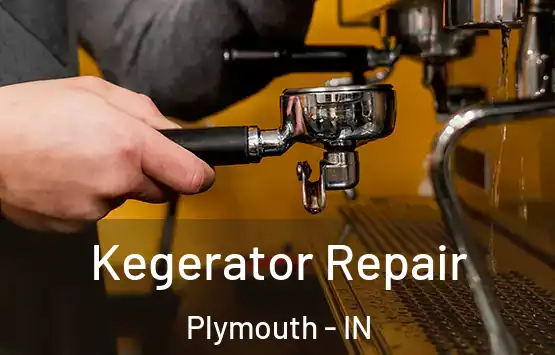  Kegerator Repair Plymouth - IN