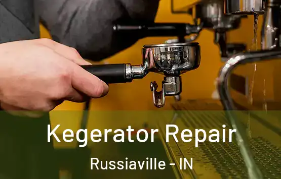 Kegerator Repair Russiaville - IN
