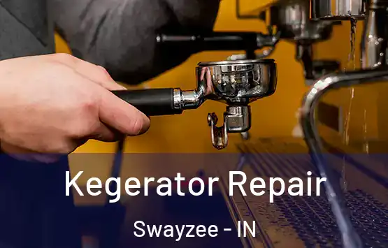  Kegerator Repair Swayzee - IN