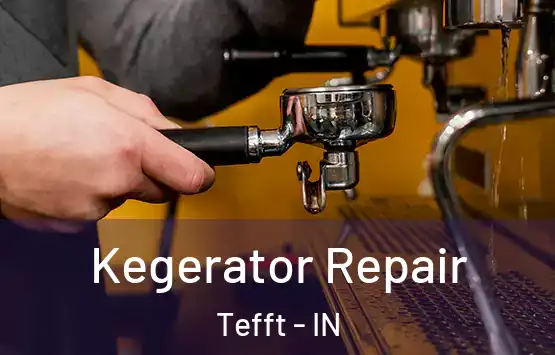  Kegerator Repair Tefft - IN
