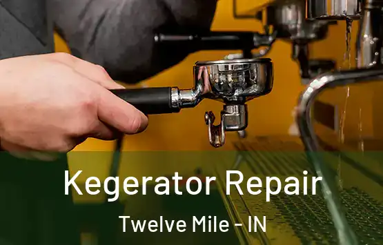  Kegerator Repair Twelve Mile - IN