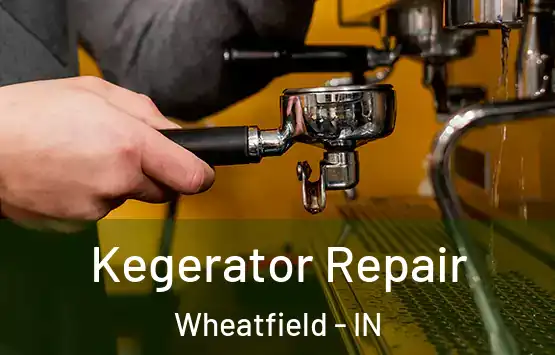  Kegerator Repair Wheatfield - IN