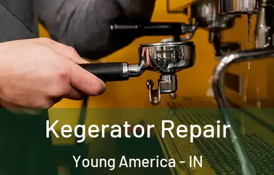  Kegerator Repair Young America - IN