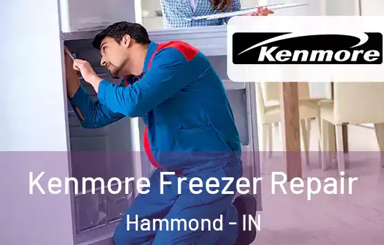  Kenmore Freezer Repair Hammond - IN