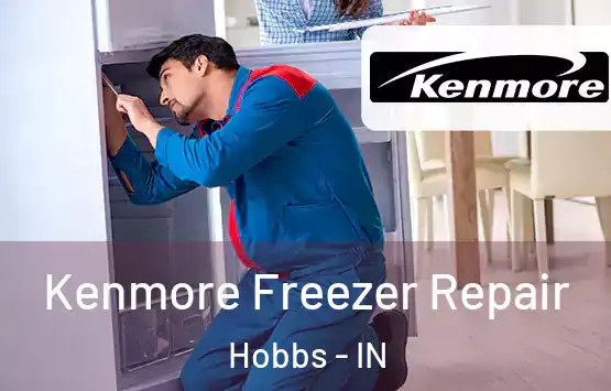  Kenmore Freezer Repair Hobbs - IN