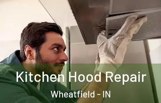  Kitchen Hood Repair Wheatfield - IN