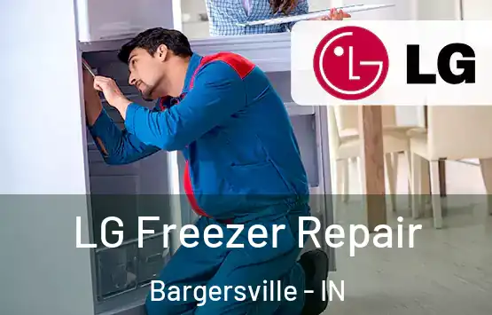  LG Freezer Repair Bargersville - IN