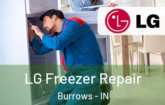  LG Freezer Repair Burrows - IN