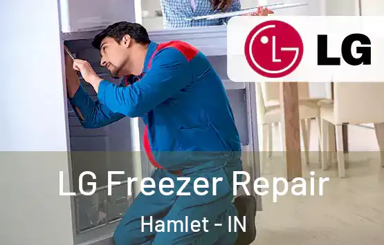  LG Freezer Repair Hamlet - IN