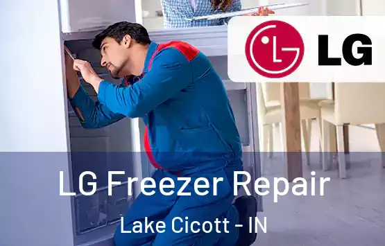  LG Freezer Repair Lake Cicott - IN