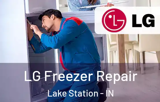  LG Freezer Repair Lake Station - IN