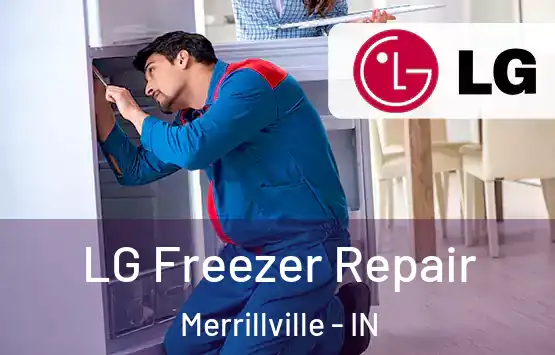  LG Freezer Repair Merrillville - IN