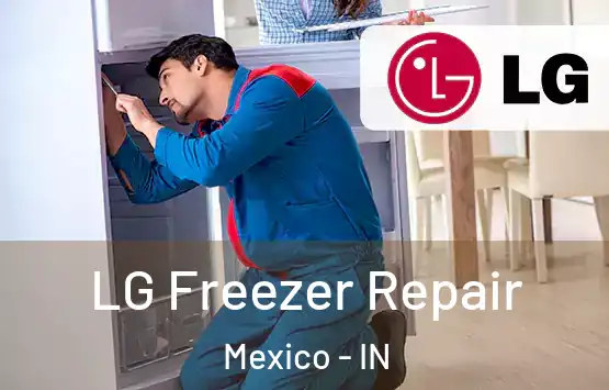 LG Freezer Repair Mexico - IN