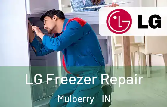  LG Freezer Repair Mulberry - IN