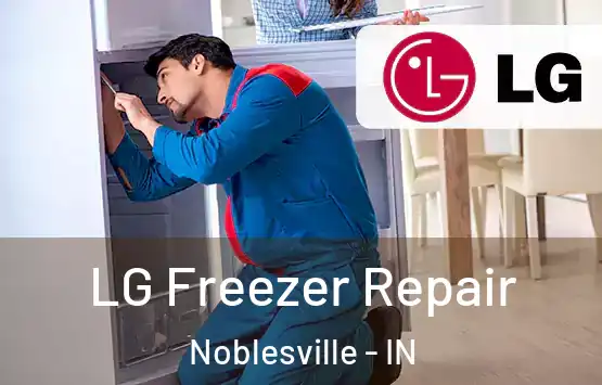  LG Freezer Repair Noblesville - IN
