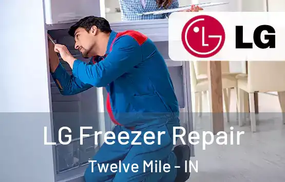  LG Freezer Repair Twelve Mile - IN