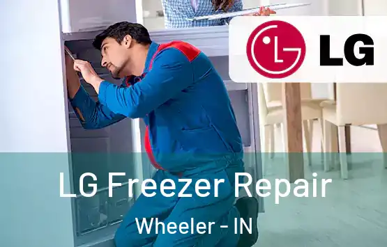  LG Freezer Repair Wheeler - IN