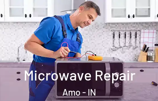  Microwave Repair Amo - IN
