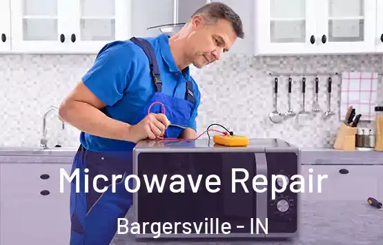  Microwave Repair Bargersville - IN