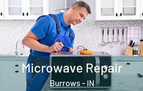  Microwave Repair Burrows - IN