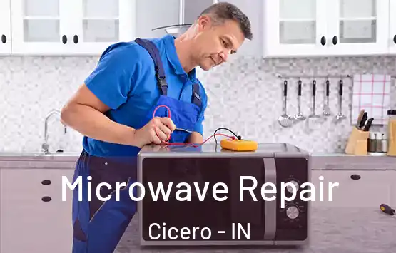  Microwave Repair Cicero - IN