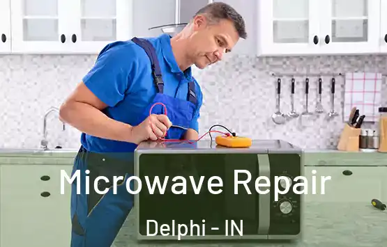  Microwave Repair Delphi - IN