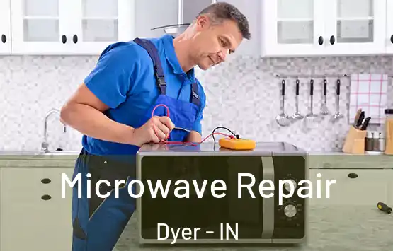  Microwave Repair Dyer - IN