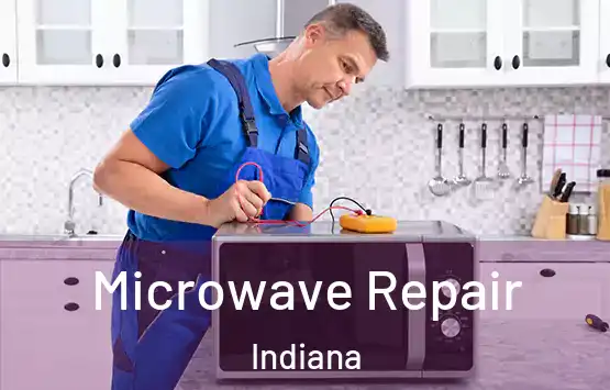  Microwave Repair Indiana