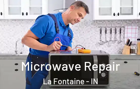  Microwave Repair La Fontaine - IN