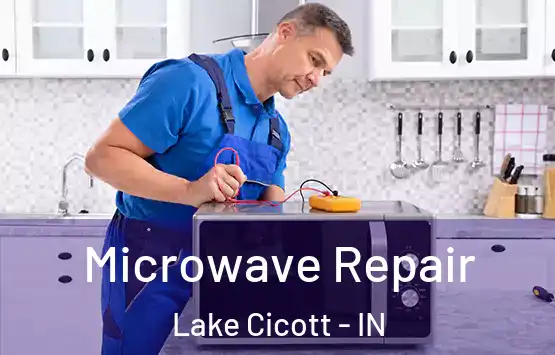  Microwave Repair Lake Cicott - IN
