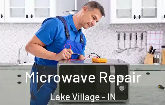  Microwave Repair Lake Village - IN