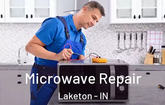  Microwave Repair Laketon - IN