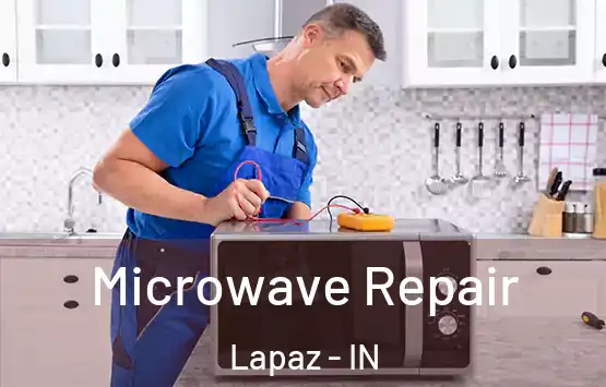  Microwave Repair Lapaz - IN