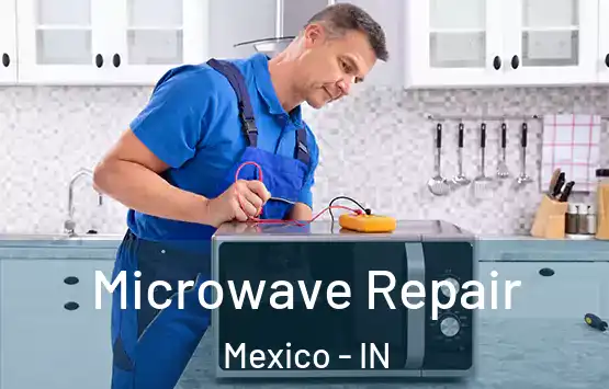  Microwave Repair Mexico - IN