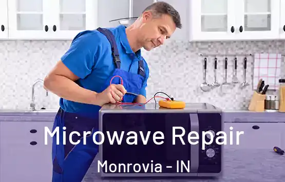  Microwave Repair Monrovia - IN