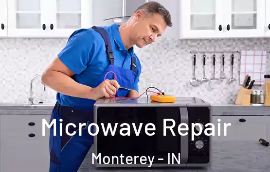  Microwave Repair Monterey - IN