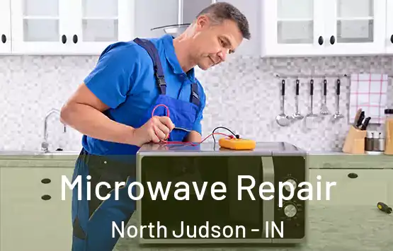  Microwave Repair North Judson - IN