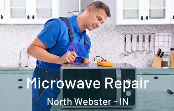  Microwave Repair North Webster - IN
